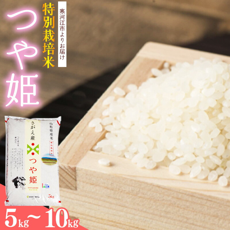新米【 特別栽培米 】山形県産 つや姫 5kg - 10kg 令和7年産( 選べる 内容量 ・ 配送時期 ) 2025年産 米 お米 白米 精米 ブランド米 東北 単一原料米 高レビュー 国産 5キロ 10キロ JAさがえ西村山 送料無料 産地直送