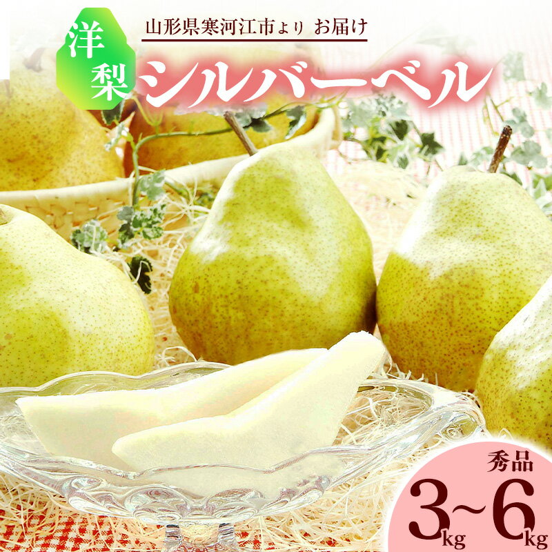 洋梨 「追熟 シルバーベル 」 3kg - 6kg 秀品 山形産 【2025年12月頃〜2026年1月頃発送予定】/ お取り寄せ 果物 くだもの フルーツ 果実 デザート おやつ 果汁 ご当地 特産 産地直送 冬 東北 山形県 令和7年産 洋 梨 さわやか