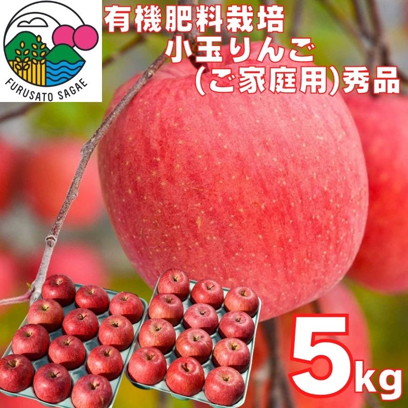 りんご「サンふじ」秀品 5kg(24玉)ご自宅用 小玉サイズ 【2025年12月上旬頃〜下旬頃発送予定】/ お取り寄せ ご当地 特産 産地直送 果物 フルーツ 林檎 リンゴ 小ぶり 小さめ 果物 東北 2025年産 令和7年産 山形県産 5キロ