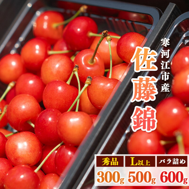 《先行予約!》山形県産 さくらんぼ 選べる!「 佐藤錦 」300g 〜 600g 秀品 Lサイズ以上 【2026年6月上旬頃〜下旬頃発送予定】※配送不可 沖縄・離島 フルーツ 果物 果実 山形産 300グラム 250グラム 500グラム 600グラム 2026年産 令和8年産 山形県産