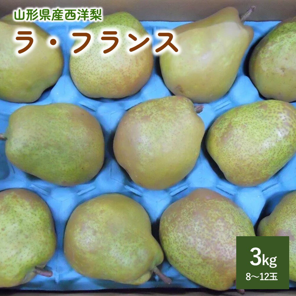 西洋梨 ( ラ・フランス ) 3kg ご家庭用 ラフランス フルーツ 果物 お取り寄せ 送料無料 山形県 上山市 0017-2516