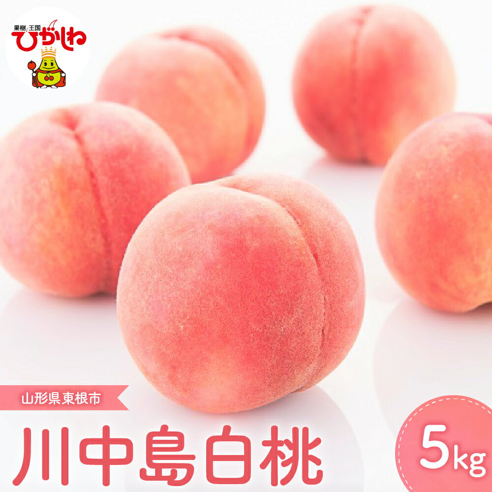 先行予約 2026年産 もも 川中島白桃 5kg / 桃 フルーツ 果物 くだもの 川中島 白桃 期間限定 大容量 冷蔵配送 お取り寄せ ご当地 特産 産地直送 送料無料 東北 山形県 東根市
