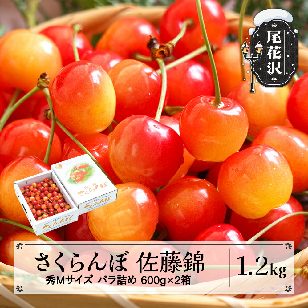 先行予約 さくらんぼ 佐藤錦 秀Mサイズ バラ詰め 1.2kg(600g×2箱) 2026年産 令和8年産 山形県産 送料無料 サクランボ※沖縄・離島への配送不可