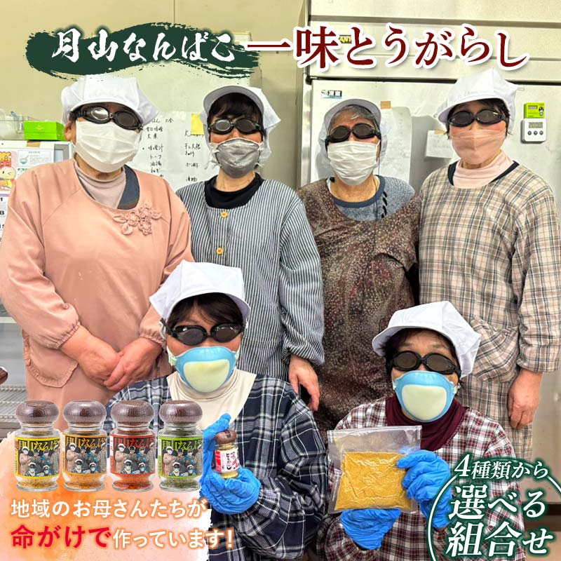 山形県 西川町産 唐辛子使用! 月山なんばこ《4種類から選べる組合せ》 調味料 食品 スパイス 唐辛子 とうがらし 辛い 手作り 命がけ 山形県 西川町 月山 FYN9-733var