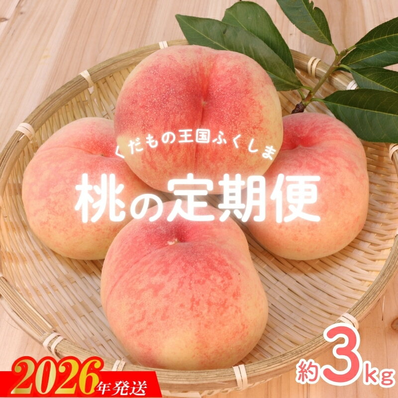No.2026【2026年発送 先行予約】福島のもも 約3kg 定期便3回 もも モモ あかつき 川中島白桃 くだもの 果物 人気 返礼品 お取り寄せ 福島市 福島県産 4万円台