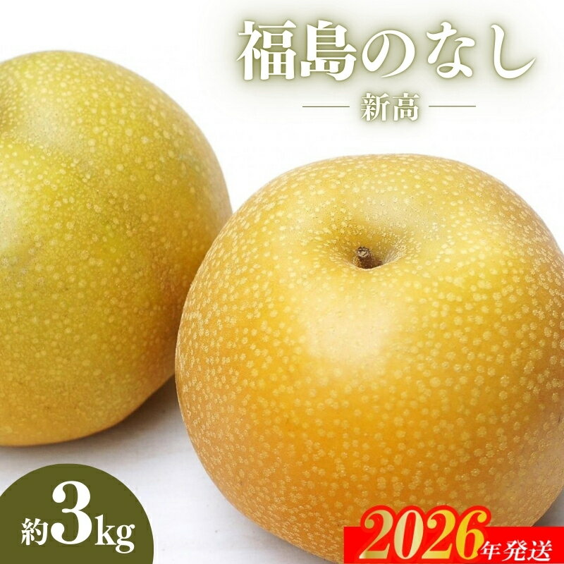 No.2189福島のなし 新高 約3kg 【2026年発送 先行予約】