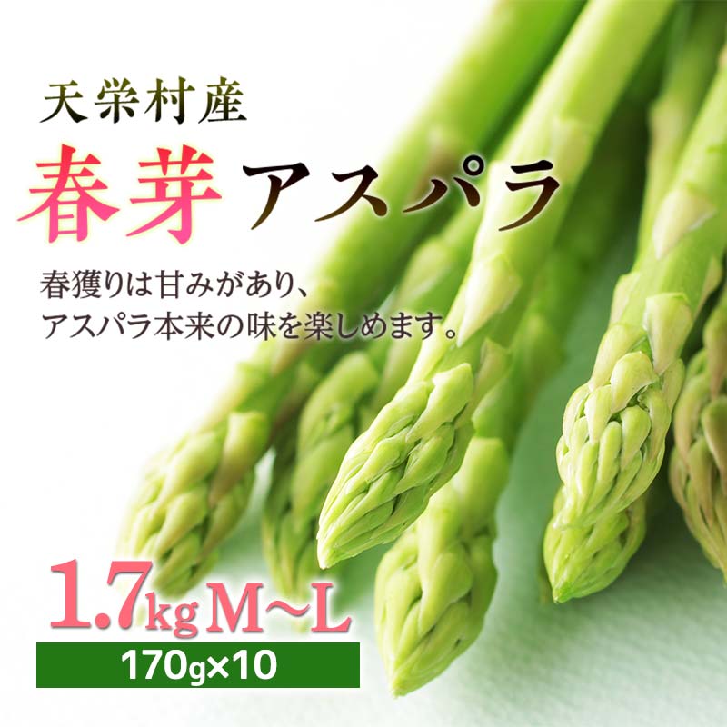 【先行予約】 ≪天栄村産≫ 春芽アスパラM~Lサイズ 1.7kg アスパラガス 野菜 やさい ≪天栄村産≫ 朝獲り 新鮮 F21T-439