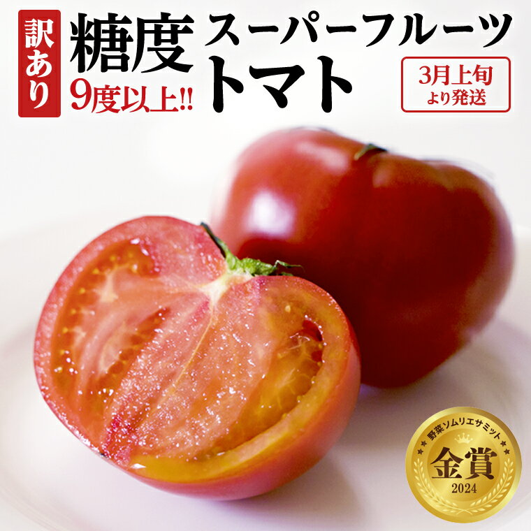 《 2026年収穫分 先行予約 》 訳あり 糖度9度以上 スーパーフルーツトマト 約800g ~ 2.6kg × 1箱 ~ 2箱 フルーツトマト ブランドトマト 野菜 ギフト 贈答