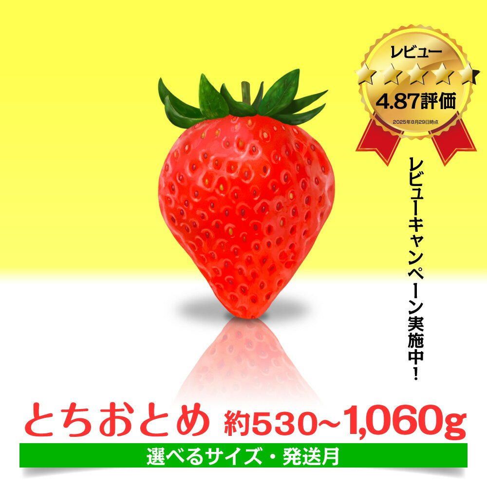 とちおとめ いちご 茨城県産 530g〜1.06kg 【選べるサイズ】【1月〜4月発送】 農家直送 新鮮 苺 イチゴ フルーツ 果物 贈答用 甘い おすすめ 高評価 産地直送 期間限定 送料無料 梅原農園 鉾田市