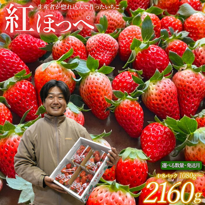 【1月~3月発送】紅ほっぺ