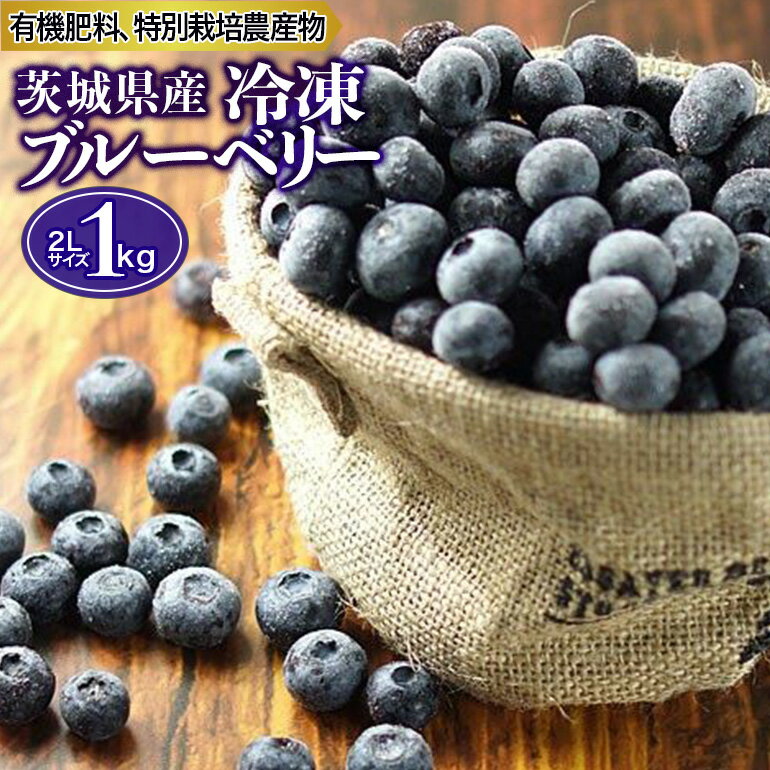 冷凍ブルーベリー 1kg 茨城県産 国産 無農薬 有機栽培 有機肥料 特別栽培 1キロ 冷凍 ブルーベリージャム フルーツ 果物 くだもの ケーキ作り お菓子 スイーツ 贈り物 贈答用 内祝い ギフト 小分け 9-I 【6月下旬から順次発送予定】