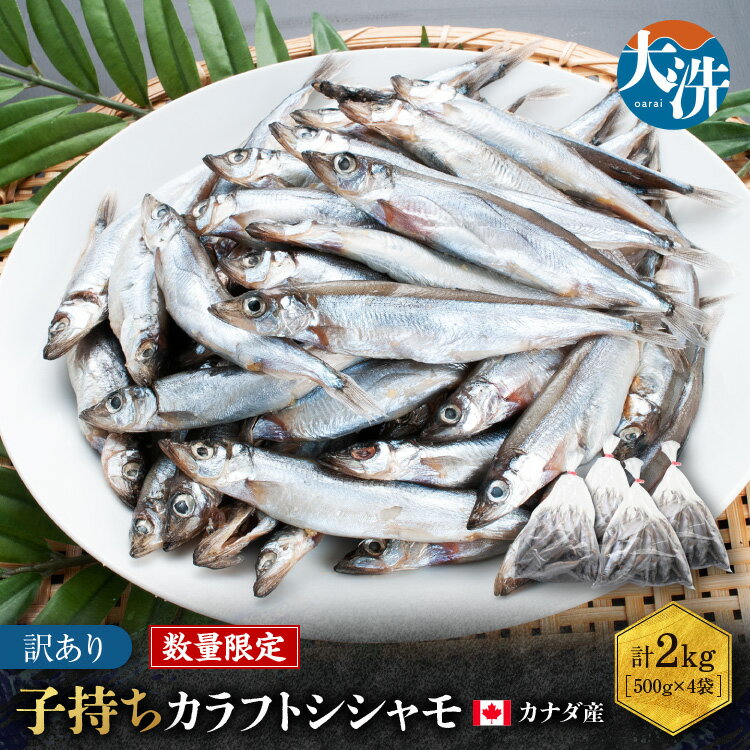 【ふるさと納税】 【数量限定!】 子持ち カラフトシシャモ 2kg (500g×4袋) 訳アリ シシャモ ししゃも カラフトししゃも 大洗 規格外 訳あり わけあり 傷