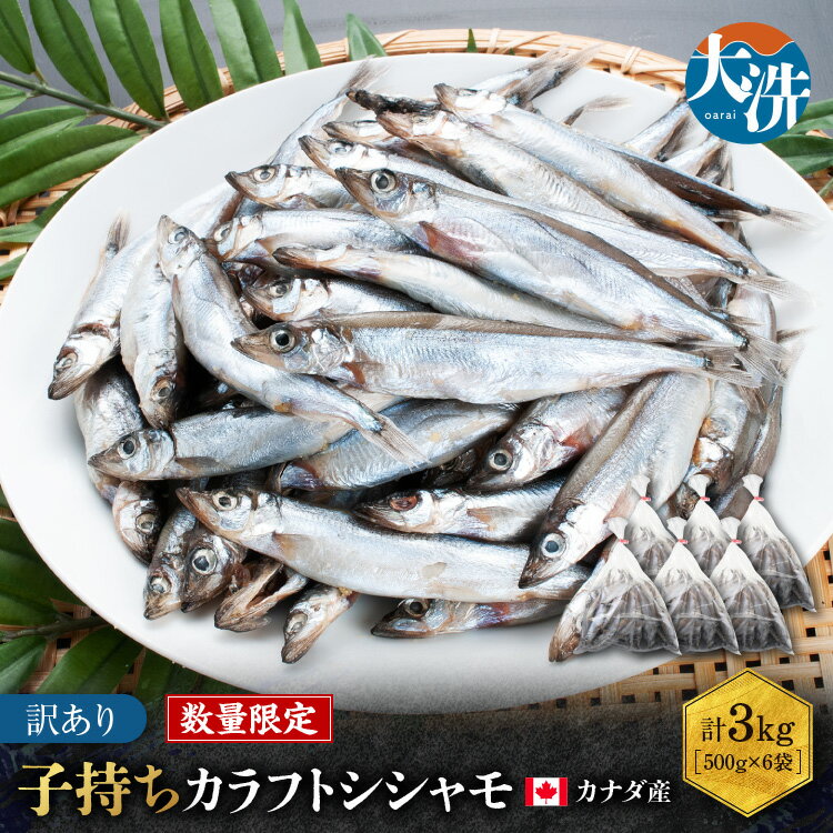 【数量限定!】 子持ち カラフトシシャモ 3kg (500g×6袋) 訳アリ シシャモ ししゃも カラフトししゃも 大洗 規格外 訳あり わけあり 傷