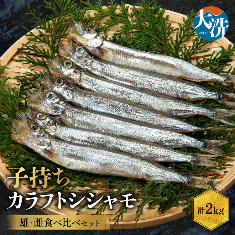 ししゃも雄雌食べ比べ 2kg セット 訳アリ シシャモ ししゃも カラフトししゃも 大洗 規格外 訳あり わけあり 傷 すぐ発送