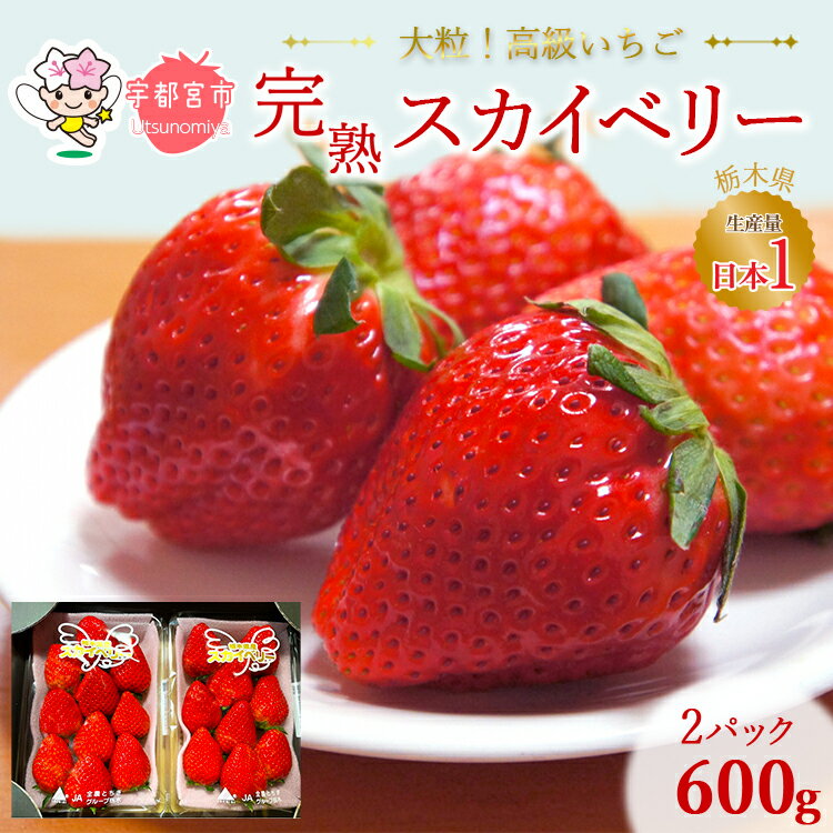高級いちご 完熟スカイベリー2パック 600g | 栃木 スカイベリー 甘い 糖度 旬 新鮮 フルーツ 果物 アレンジ スイーツ 贈答用 ※2025年12月下旬~2026年3月下旬頃に順次発送予定 ※沖縄・離島への配送不可