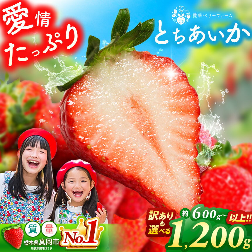 愛され いちご王国のとちあいか 選べる 訳あり 600g 1200g 1050g|2026年 先行予約 1月 2月 3月 4月 苺 いちご イチゴ ストロベリー strawberry 厳選 手作り 特産品 美味しい おいしい 旨い 美味い 人気 旬 新鮮 栃木県 真岡市 送料無料