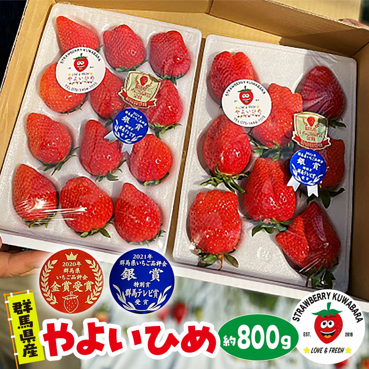 <2026年 先行予約>いちご品評会 最高金賞受賞 やよいひめ いちご 約800g|朝採れ やみつき やよいひめ 高品質 たっぷり 贈答用 新鮮 完熟 いちご 旬 苺 高級 産地直送 果汁 甘い あまい 人気 高評価 高糖度 ごほうび プレゼント 群馬県 前橋市 A-157