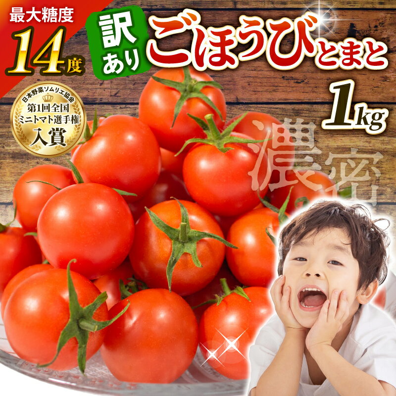 “予約受付” 訳あり トマト 1kg とまと 甘い 高糖度 フルーツ ミニトマト 訳アリ 野菜 果物 濃厚 産地直送 とれたて 徳用 規格外 不揃い 健康 美容 アンチエイジング 生活習慣病予防 フルーツトマト ごほうびとまと 株式会社風の子ファーム 埼玉県 羽生市