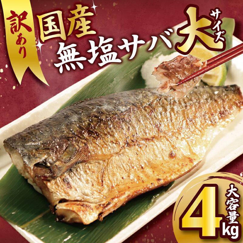 訳あり 国産 無塩 サバ 大サイズ 4kg 1枚170g さば サバ 鯖 魚 海鮮 魚介類 フィレ 切身 無塩 不揃い 規格外 小分け おかず おつまみ 人気 グルメ お取り寄せ 大きめ ふるさと納税 ふるさと納税鯖 冷凍 送料無料 千葉県 銚子市 大國屋