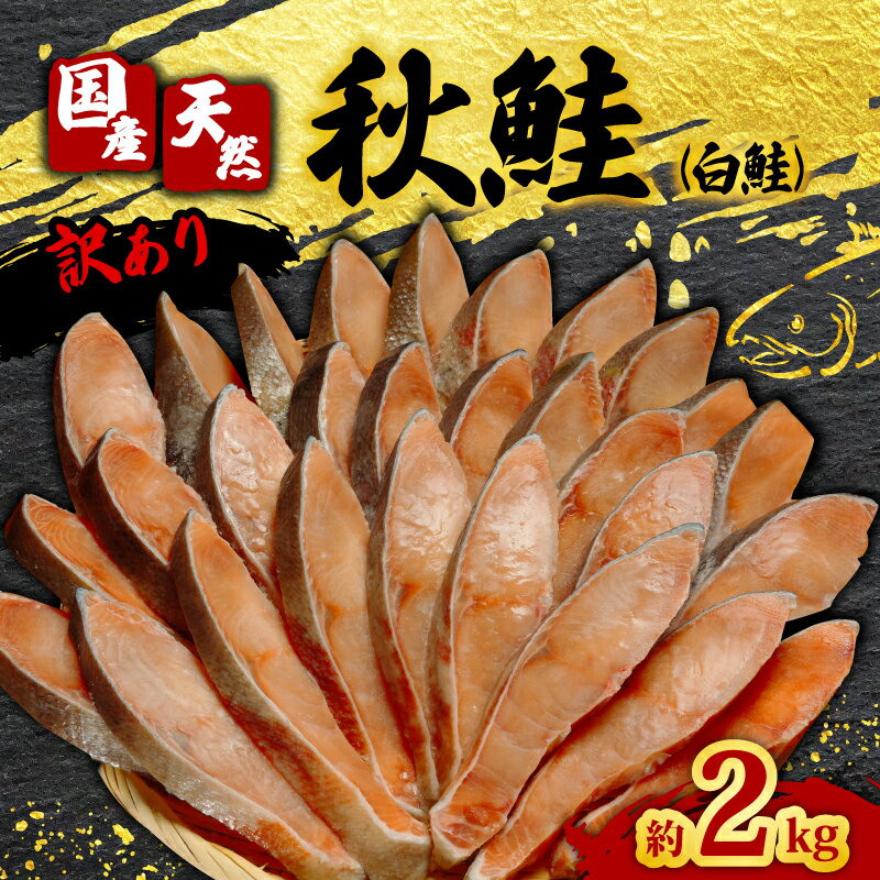 訳あり 国産 天然 秋鮭 ( 白鮭 ) 切り身 約2kg しゃけ 秋 さけ 鮭 調理におすすめ ムニエル フライ 鍋 鮭茶漬け ちゃんちゃん焼き 魚 魚貝 魚介 海鮮 規格外 不揃い 切身 冷凍 調理用 お取り寄せ グルメ 送料無料 ふるさと納税 千葉県 銚子市 辻野