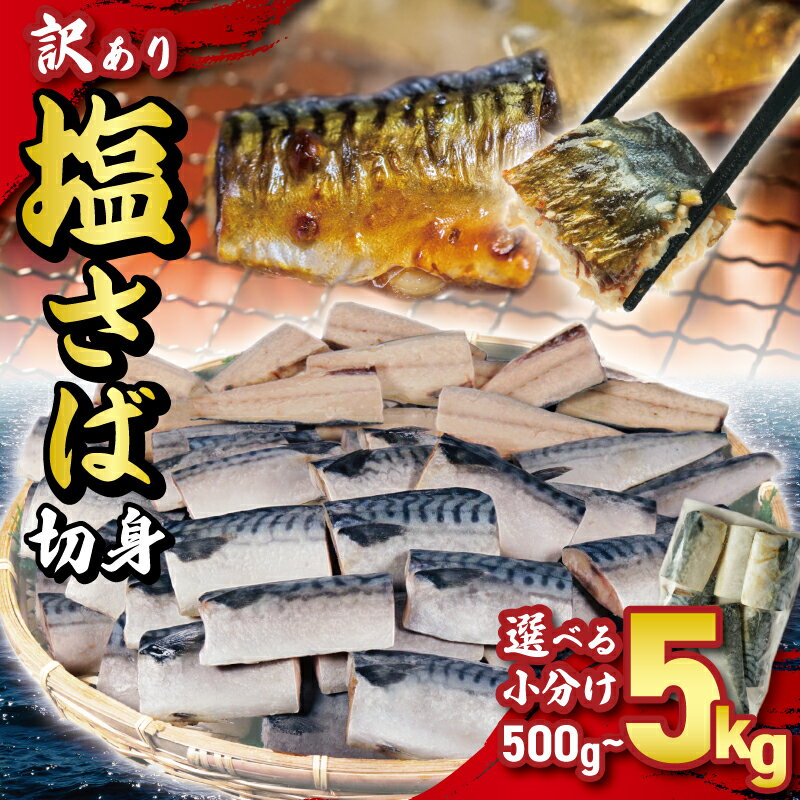 訳あり サバ 塩サバ切り身 約500g 1kg 1.5kg 2kg 5kg ノルウェー産 小分け サバ 鯖 切り身 海鮮 魚 大容量 青魚 おかず 惣菜 焼魚 魚貝 おつまみ 弁当 人気 グルメ お取り寄せ ふるさと納税 ふるさと納税魚 冷凍 送料無料 千葉県 銚子市 大一奈村魚問屋
