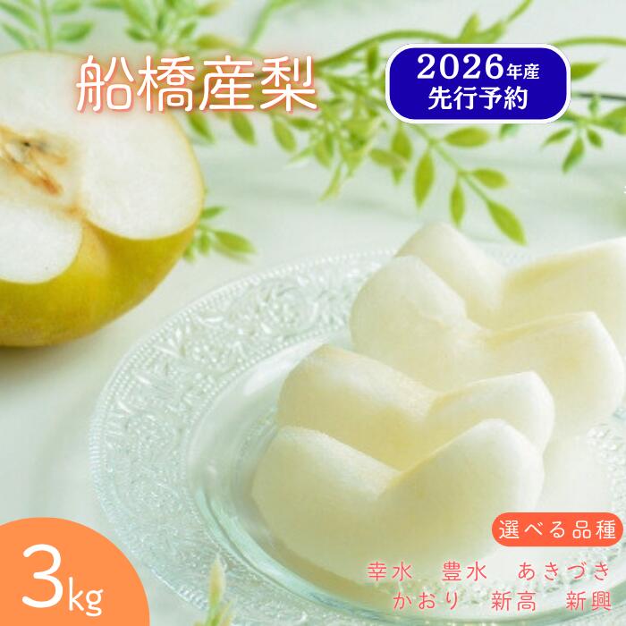 【2026年産 先行予約】 梨 幸水 豊水 あきづき 新高 新興 かおり船橋のなし 先行予約 選べる家庭用 贈答用 3kg 5kg 旬 果物 フルーツ千葉県産 船橋市産 おすすめ 千葉県 船橋市 エコチョク