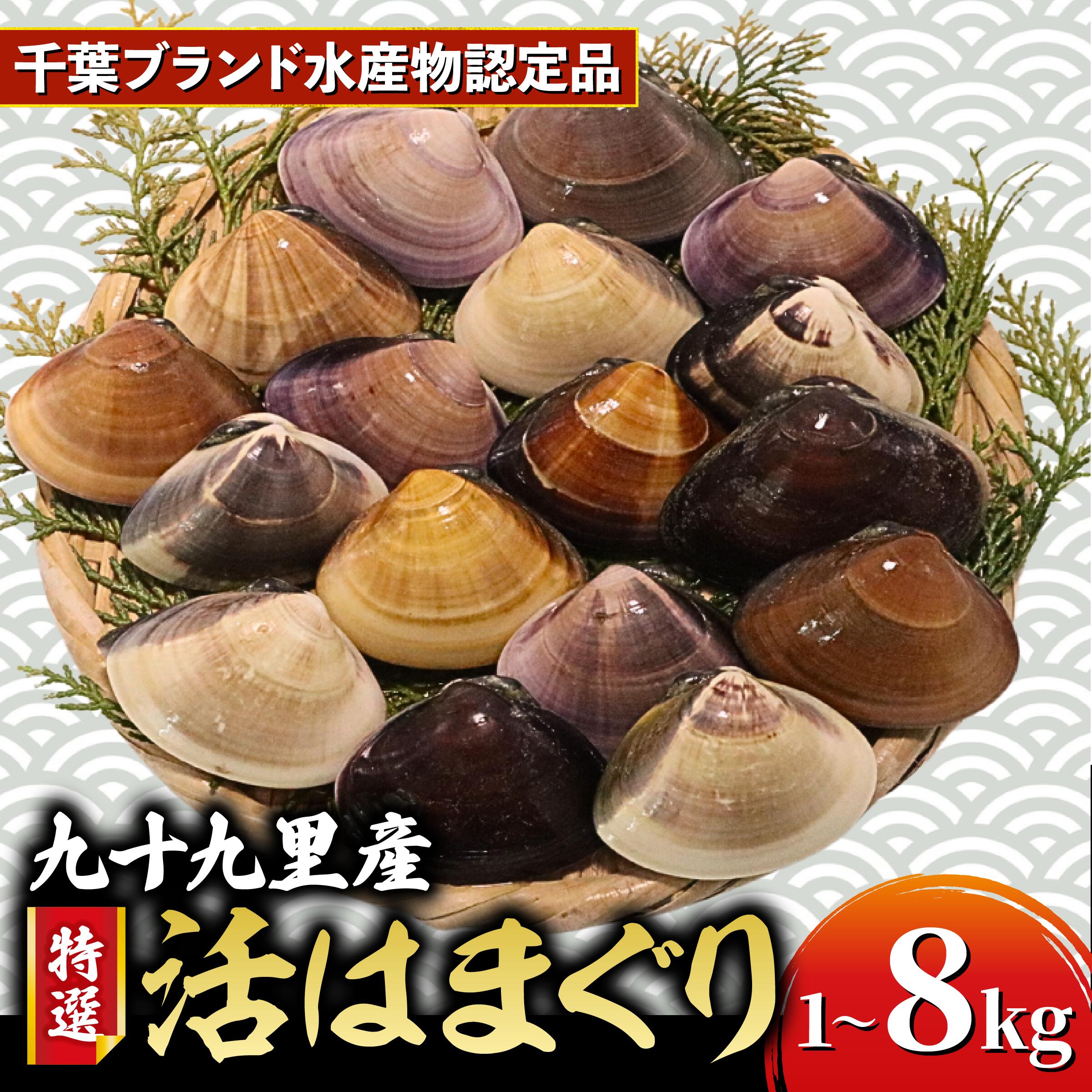 ≪千葉ブランド水産物認定品≫ 活 はまぐり 選べる 約 1kg (10〜16個)〜約8kg (85〜110個位) 砂抜き 九十九里産 天然 蛤 活はまぐり 砂抜き 冷蔵 魚介 海鮮 貝 味噌汁 酒蒸し 九十九里 お祝い ひなまつり ふるさと納税はまぐり 不動丸 千葉県 旭市