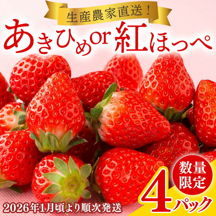 12-7 岡戸農園 いちご(4パック)*「あきひめ」あるいは「紅ほっぺ」数量限定 ※2026年1月頃より順次発送予定 ※沖縄・離島への配送不可