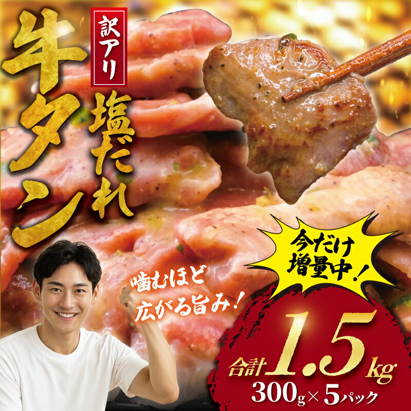 牛タン 訳あり 計 1.5kg 塩ダレ ( 300g × 5 パック ) 牛たん 牛 たん タン 牛肉 ぎゅうたん ギュウタン 切り落とし 塩 gyuutan 訳アリ 訳有 訳有り 訳あり品 ワケアリ 焼肉 牛肉 肉 お肉 簡単調理 夕食 おかず 冷凍 つまみ 味付き 焼き肉 神奈川 湘南 藤沢