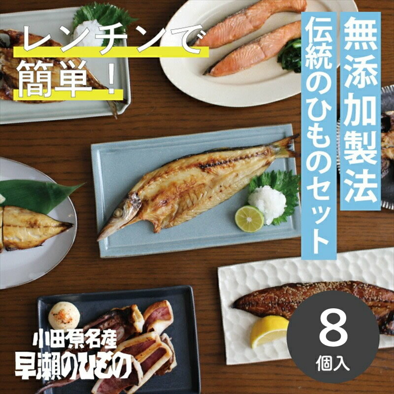 干物 なんと!焼いてありますセット【惣菜 魚 干物 ひもの お取り寄せ 御中元 お中元 お歳暮 父の日 母の日 贈り物 家庭用 自宅用 贈答品 贈答用 ギフト 定番 朝食 朝ごはん 神奈川県 小田原市 】