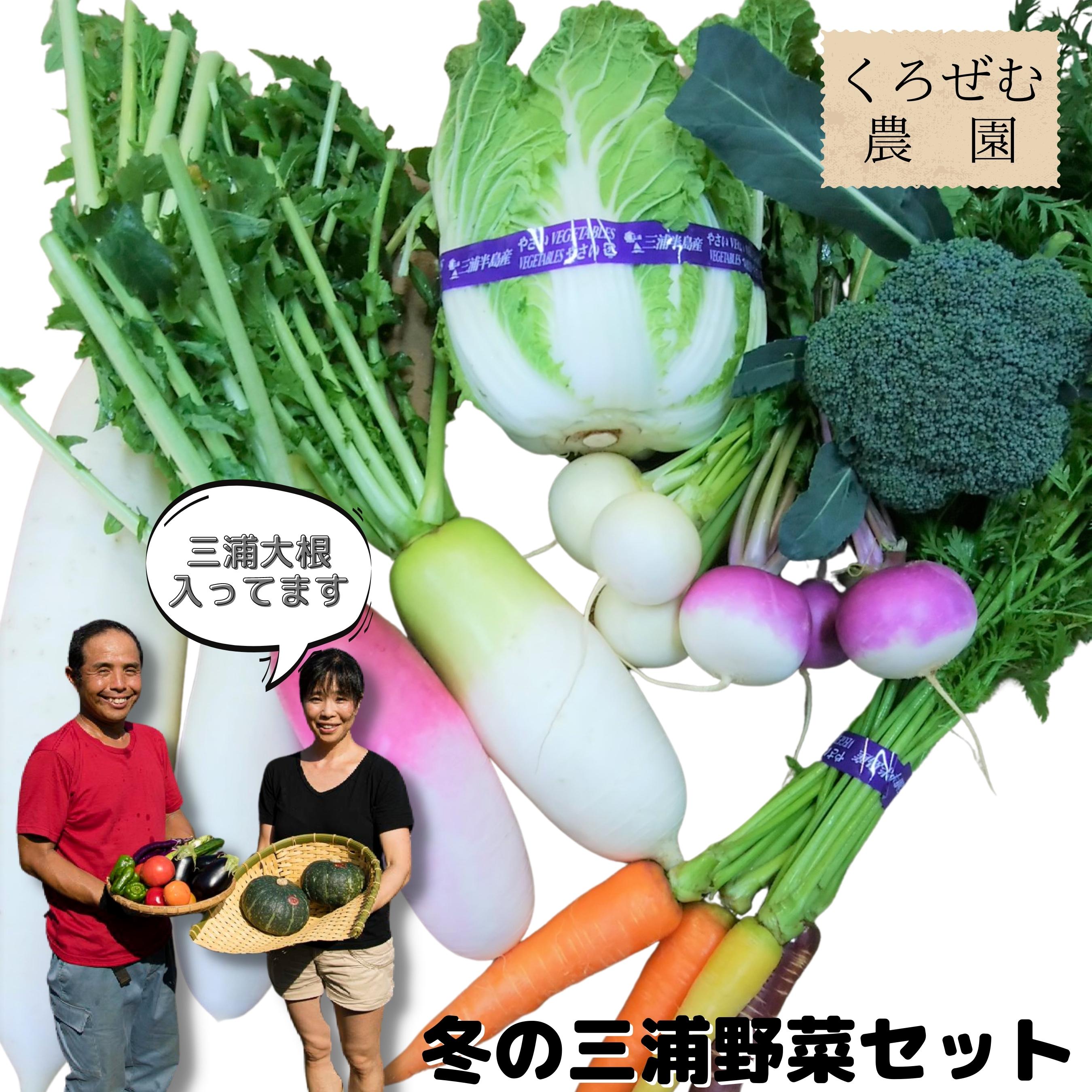 ボリューム満点 季節の野菜 詰め合わせ (冬) 三浦大根 大根 だいこん 野菜 冬野菜 青首 味一番 白菜 ブロッコリー 人参 カブ ケール ビーツ おいしい 期間限定 三浦野菜 旬のやさい くろぜむ農園 神奈川 三浦市 おすすめ ランキング プレゼント ギフト