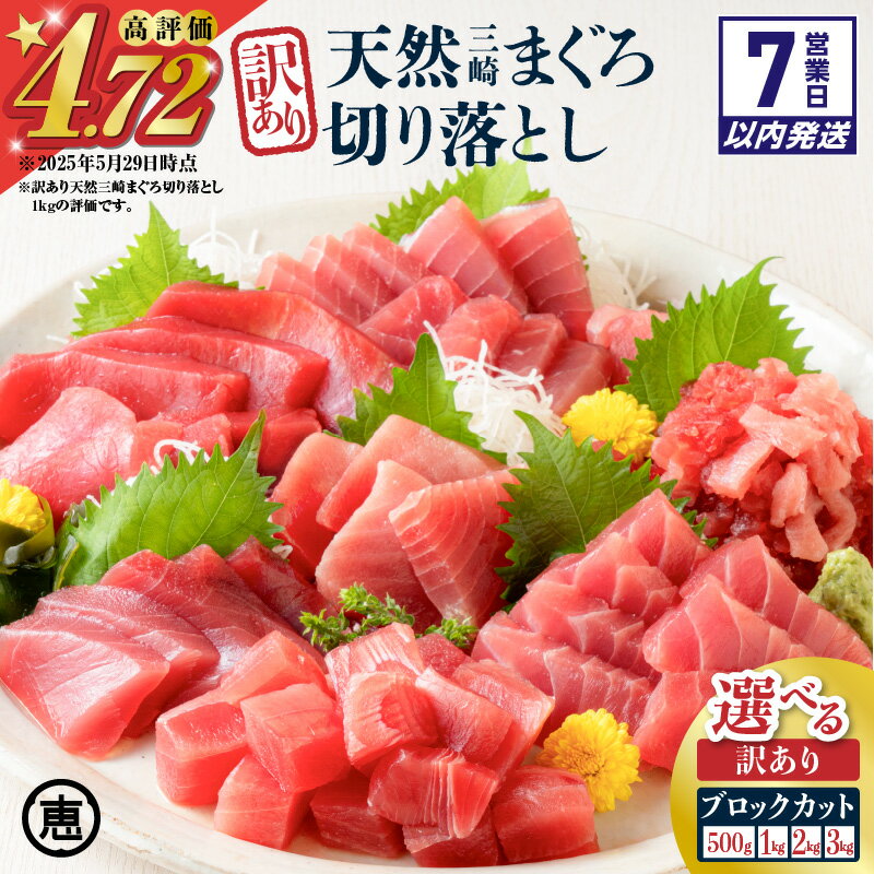 【7営業日以内に発送】<選べる> 天然 三崎まぐろ 赤身 切落し 500g ~ 3kg ブロック カット 不揃い バラエティ 訳あり まぐろ マグロ 鮪 メバチマグロ 切り落とし 刺身 魚 魚介 三崎恵水産 神奈川県 三浦市 おすすめ ランキング