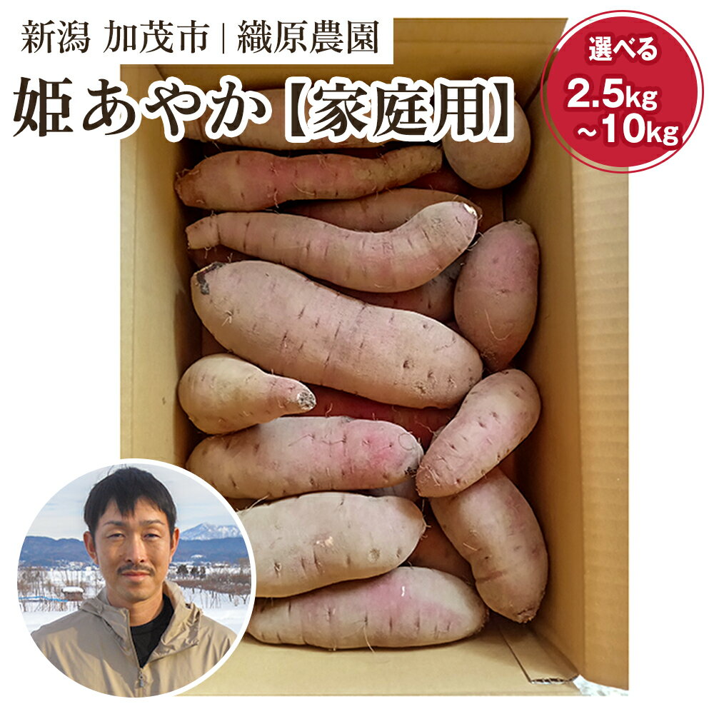 【2025年先行予約】新潟県 加茂市産 姫あやか 【家庭用】選べる「2.5kg」or「5kg」or「10kg」《11月上旬~順次発送》 人気 さつまいも 訳あり 家庭用 さつまいも 熟成 さつまいも しっとり甘みの強い さつまいも 焼き芋 焼芋 スイートポテト 加茂市 織原農園