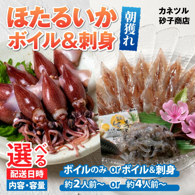 【先行予約】【レビューキャンペーン実施中】ボイルほたるいか 選べるボイルのみ /ボイル&刺身 容量2人前 /4人前 カネツル砂子商店 ※26年3月中旬以降順次発送【能登半島地震復興支援】/ 冷蔵 茹で ホタルイカ 富山 滑川市