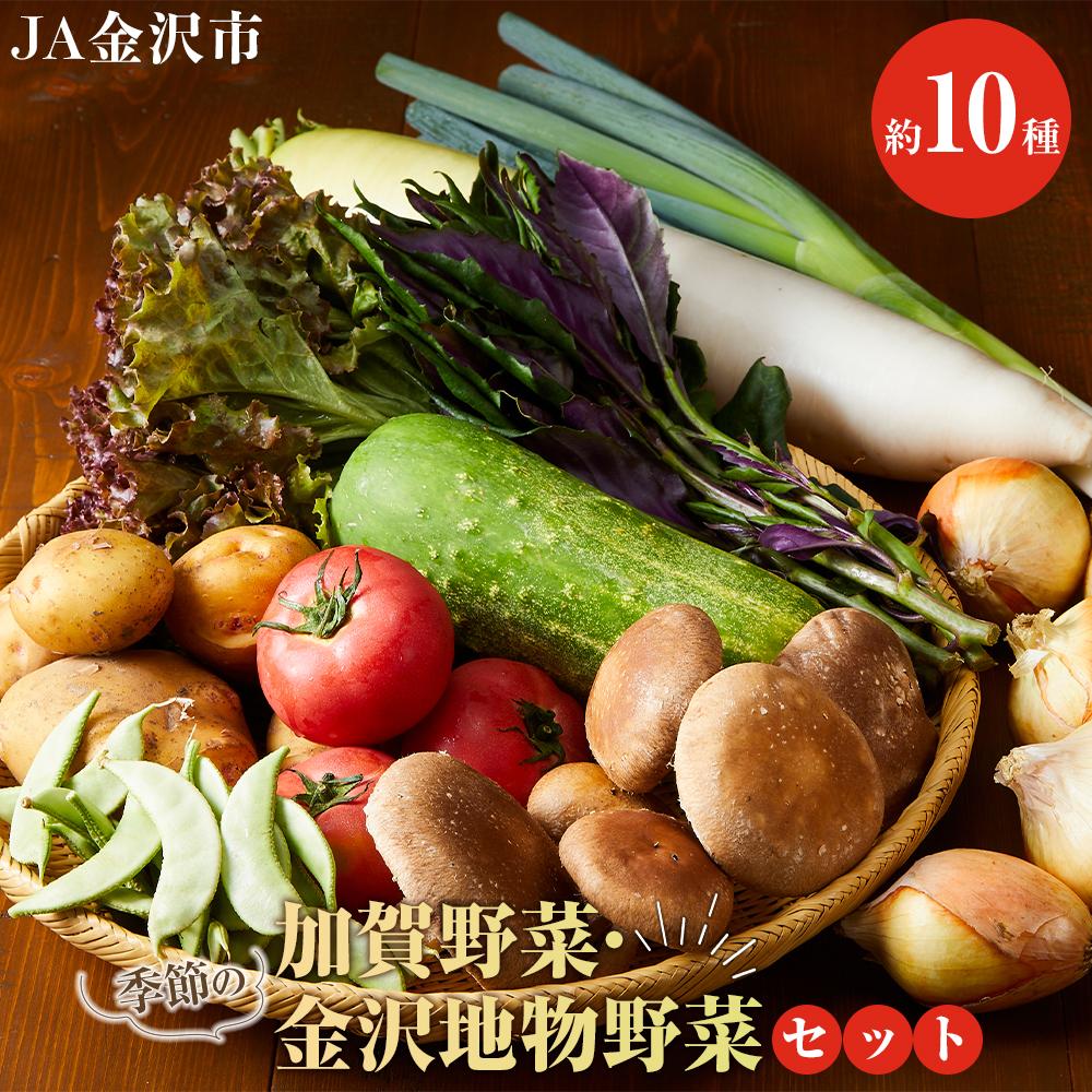 ★【数量限定】JA金沢市 季節の加賀野菜・金沢地物野菜セット | 野菜 やさい 百万石しいたけ 旬の金沢地物 野菜 生野菜 食材 食品 人気 おすすめ 送料無料 産地直送