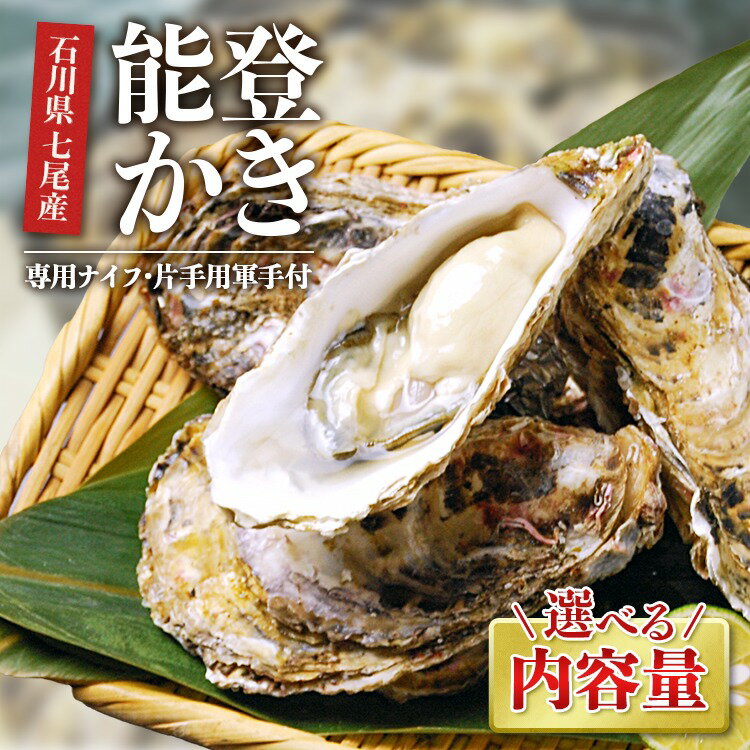 【能登半島地震復興支援】\選べる内容量/魚介類 牡蠣/能登かき 殻付牡蠣 専用ナイフ 片手用軍手付|世界農業遺産「能登の里山里海」 石川県 七尾市 能登 ※要加熱 ※離島への配送不可