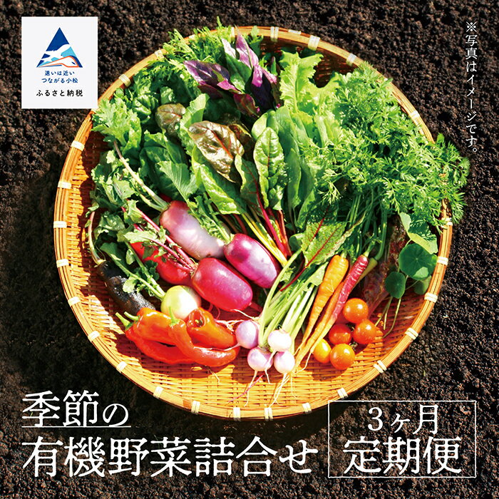 季節の有機野菜詰合せ 《 定期便 3ヶ月 》 野菜セット 季節の野菜 有機野菜 野菜 セット 詰め合わせ おまかせ 定期 3ヵ月 3回 お中元 お歳暮 ギフト 小松市 石川県 030071【西田農園】