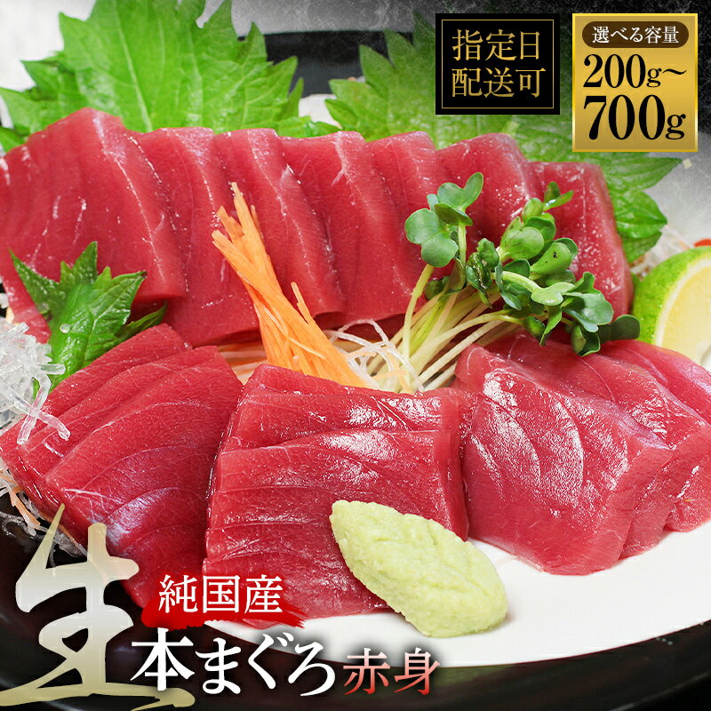 【冷蔵・指定日着可】国産 生本マグロ 赤身 200g~700g(柵どり/ 送料 無料 福井県 越前市 鮪 未冷凍 生まぐろ 生マグロ 本鮪 新鮮 お刺身 おさしみ お造り 切り身 切身 海鮮 海鮮丼 まぐろ丼 発送時期が選べる (18209)