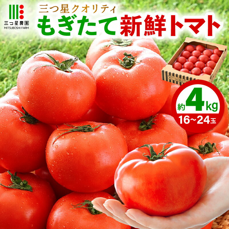新鮮トマト 1ケース 約4kg (16~24玉入) ~三つ星クオリティ☆坂井の大自然が育てた、もぎたて新鮮トマト~【とまと トマト 野菜 生野菜 新鮮 リコピン ビタミン ダイエット 美容 美肌 産地直送 国産】