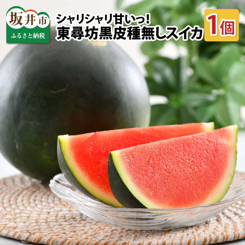 【先行予約】 種なし スイカ 6~10kg × 1玉 大玉サイズ ~シャリシャリ甘い東尋坊黒皮種なしスイカ~ 【2026年7月中旬以降順次発送予定】 【スイカ 西瓜 フルーツ 果物 国産 産地直送 内祝い お祝い お中元 夏ギフト】