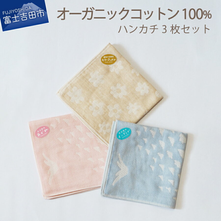 3枚セット ハンカチ コットン オーガニック セット 母の日 プレゼント かわいい オーガニックコットン100% SDGs フェアトレード