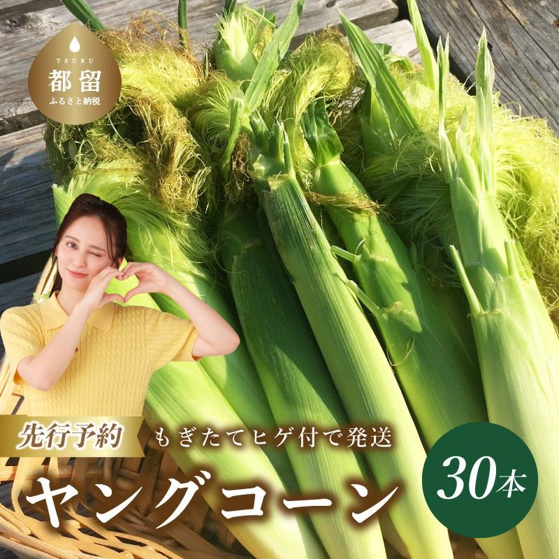 【2026年 先行予約】もぎたて発送!山梨県産 ヤングコーン 30本【栄養たっぷりヒゲ付き!】【炭香ファーム】|送料無料 とうもろこし トウモロコシ ヤングコーン 野菜 甘い 産直 大好評 とれたて
