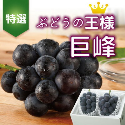 【2026年発送分先行予約】山梨産 巨峰(種無し) 2房 約1kg 化粧箱入り_ ふるさと納税 ふるさと ぶどう ブドウ 葡萄 フルーツ 果物 くだもの ギフト 贈答 山梨県 山梨市 山梨 人気 送料無料【配送不可地域:離島・沖縄県】【1021830】