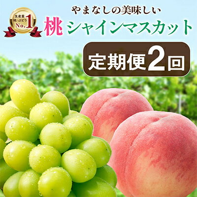 【発送月固定定期便】山梨の美味しい【桃とシャインマスカット】定期便全2回_ 桃 もも・シャインマスカット ぶどう ブドウ お試し フルーツ 果物 詰め合わせ セット 贈答 ギフト 【配送不可地域:離島】【4013283】