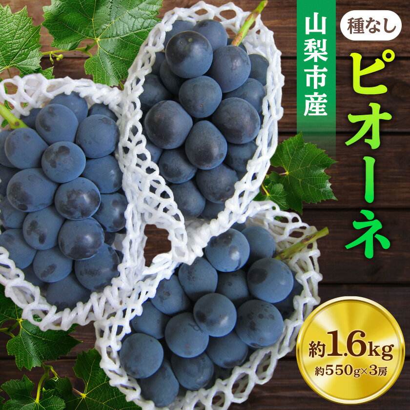 【2026年先行予約】ピオーネ 約550g×3房 山梨市産 「ピオーネ(種なし)」 詰め合わせ_ ふるさと納税 ふるさと ぶどう ブドウ 葡萄 フルーツ 果物 くだもの 人気 美味しい 山梨県 山梨市 山梨 【配送不可地域:離島・沖縄県】【1117301】