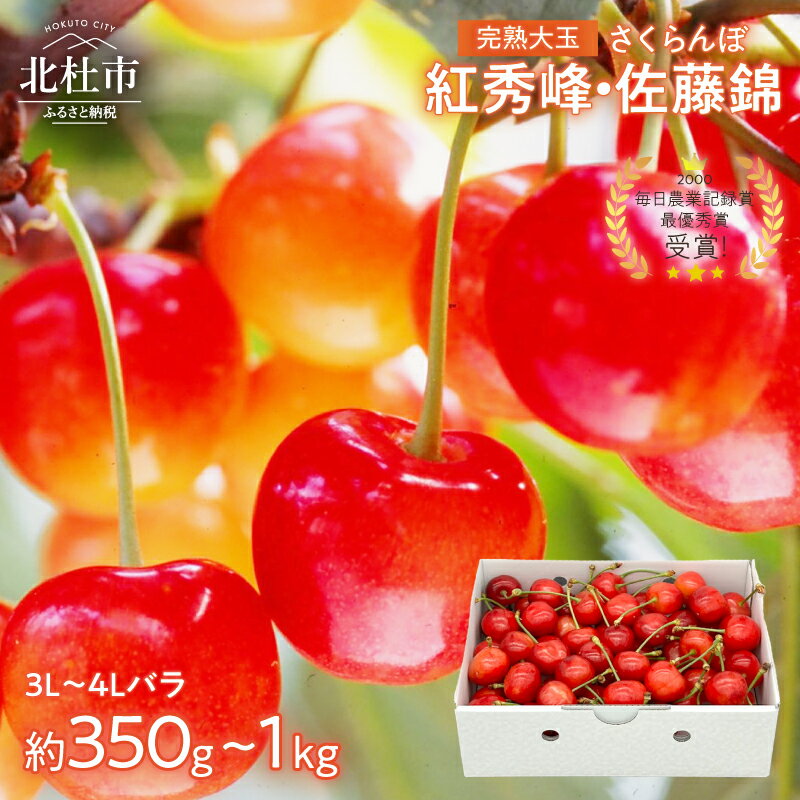 さくらんぼ 完熟 大玉 バラ 3L~4L サイズ 【2026年発送 先行予約】 選べる容量 約350g 約500g 約700g 約1kg 佐藤錦 紅秀峰 優良系統 チェリー 果物 やまなしGAP認証 フルーツ グランプリ ※2026年6月中旬以降順次発送 岩原果樹園 山梨県 北杜市 送料無料