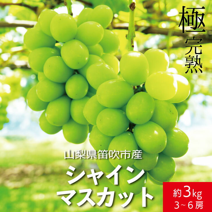 <25年発送>【2026年発送★先行予約】☆絶品☆ シャインマスカット 3-6房約3.0kg ふるさと納税 おすすめ ランキング シャインマスカット 笛吹市 国産 人気 期間限定 ぶどう 葡萄 果物 甘い デザート おやつ 山梨県 送料無料 090-005