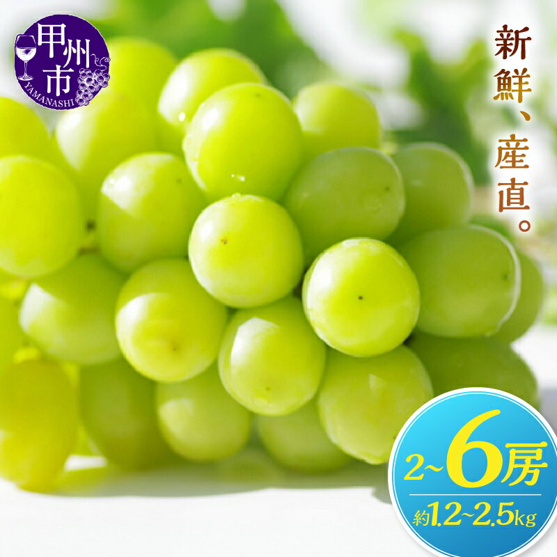 2026年 先行予約 約1.2kg 約2.5kg 8月 9月 10月 発送 人気返礼品 シャインマスカット 果物 選べる 内容量 2~6房 人気 新鮮 産直 くだもの フルーツ 葡萄 ぶどう 産地直送 甘い 大きい 果実 山梨県 甲州市 期間限定 社員マスカット (KSF)