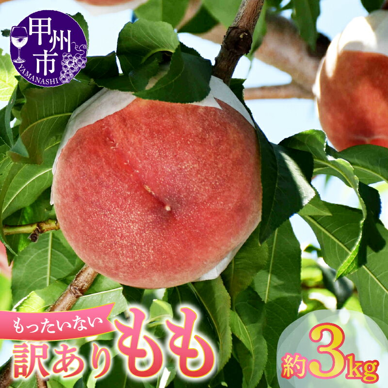 訳あり 桃 2026年 先行予約 約3kg 8玉~12玉 大容量 完熟 もも 果物 フルーツ 数量限定 期間限定 6月~8月 発送 冷蔵 クール 山梨県 甲州市 家庭用 わけあり 不揃い 規格外 フードロス (MG) 【A08-470】