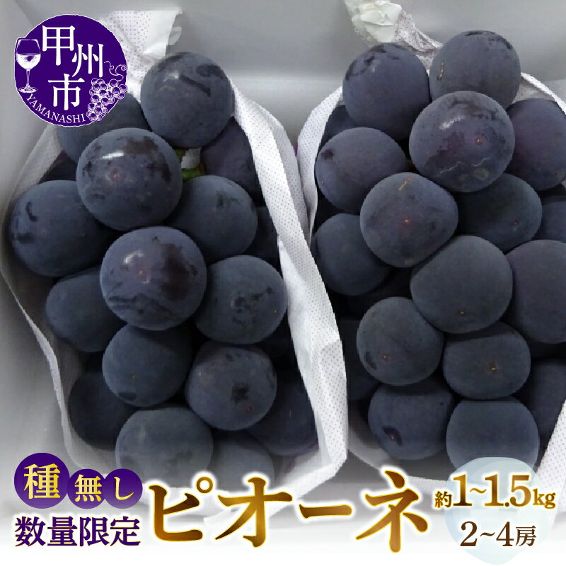 ピオーネ 種なし 2026年 先行予約 選べる 容量 約1kg~約1.5kg 2~4房 甲州市産 期間限定 数量限定 冷蔵 クール 黒ブドウ 黒系 ぶどう 果物 くだもの フルーツ 8月~9月 発送 山梨県 甲州市 贈答 ギフト 家庭用 (MG)